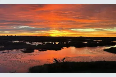 13910 Max Hooks Road, Clermont, FL 34711 - Photo 58