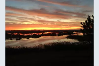 13910 Max Hooks Road, Clermont, FL 34711 - Photo 62