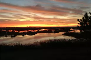 13910 Max Hooks Rd, Clermont, FL 34711 - Photo 62