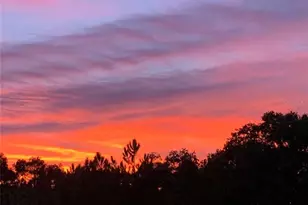 13910 Max Hooks Rd, Clermont, FL 34711 - Photo 64