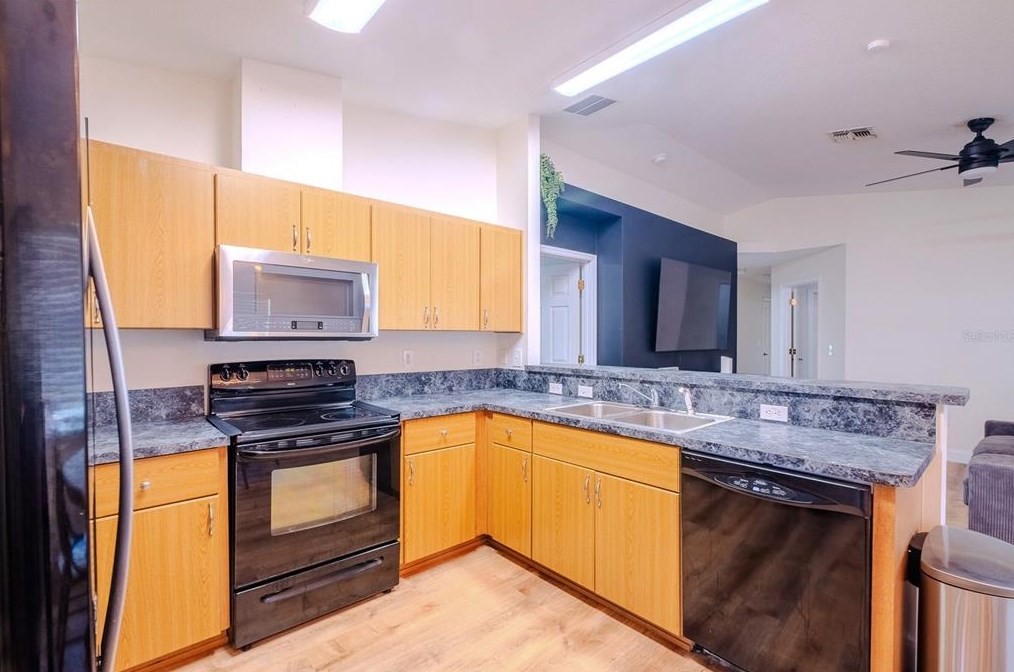 1205 N Texas Ave, Tavares, FL 32778