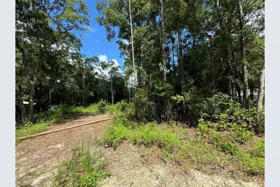 Nw 58th Place, Chiefland, FL 32626 - Photo 4