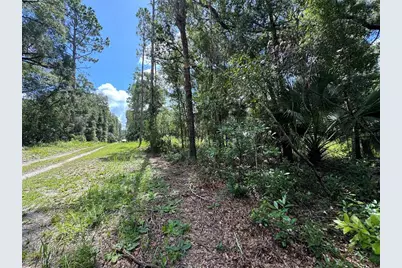 Nw 58th Place, Chiefland, FL 32626 - Photo 8