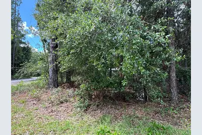 Nw 58th Place, Chiefland, FL 32626 - Photo 6