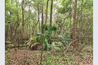 15363 SE 156th Place Road, Weirsdale, FL 32195 - Photo 4