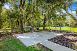 26012 Splendid Meadow Ct, Astatula, FL 34705 - Photo 50