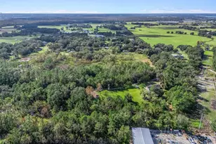 1151 Emma Ln, Leesburg, FL 34748 - Photo 40