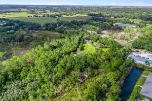 1151 Emma Ln, Leesburg, FL 34748 - Photo 36