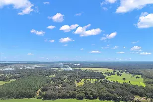 11001 Moon Crest Ln, Leesburg, FL 34788 - Photo 16