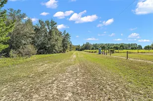 11001 Moon Crest Ln, Leesburg, FL 34788 - Photo 24