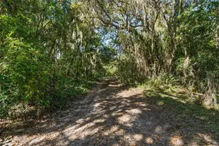 11001 Moon Crest Ln, Leesburg, FL 34788 - Photo 20