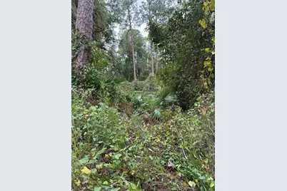 15518 State Road 19, Groveland, FL 34736 - Photo 16