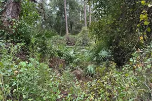 15518 State Road 19, Groveland, FL 34736 - Photo 16