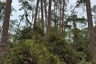 15518 State Road 19, Groveland, FL 34736 - Photo 14