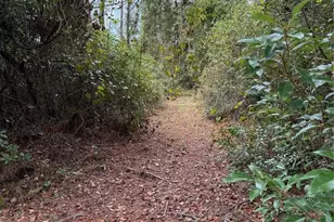 15518 State Road 19, Groveland, FL 34736 - Photo 6