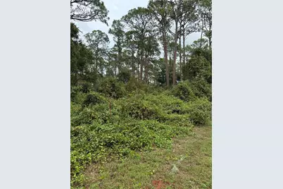 15518 State Road 19, Groveland, FL 34736 - Photo 10