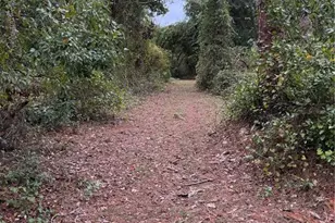 15518 State Road 19, Groveland, FL 34736 - Photo 4