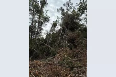 15518 State Road 19, Groveland, FL 34736 - Photo 22