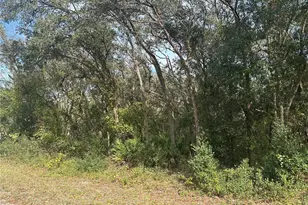 9114 Realstone Dr, Ridge Manor Estates, FL 33597 - Photo 1