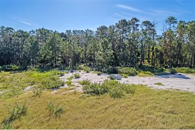 20280 Shoreline Ranches Lane, Umatilla, FL 32784 - Photo 12