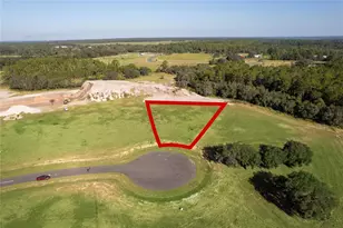 38361 Lk Mdw Ct, Umatilla, FL 32784 - Photo 1