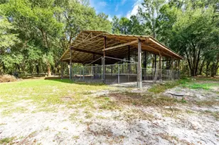 9442 Cr 674, Bushnell, FL 33513 - Photo 22