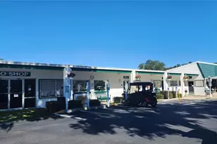 22 Big Oak Ln, Wildwood, FL 34785 - Photo 40