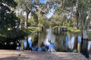 4777 Cr 306A, Lake Panasoffkee, FL 33538 - Photo 50