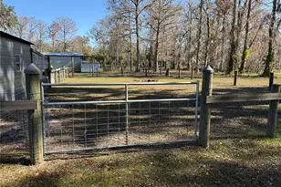 2403 County Rd 416 N, Lake Panasoffkee, FL 33538 - Photo 90