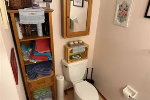 2403 County Rd 416 N, Lake Panasoffkee, FL 33538 - Photo 52