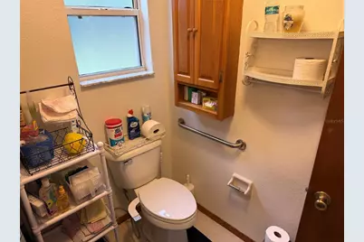 2403 County Road 416N, Lake Panasoffkee, FL 33538 - Photo 80