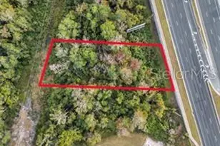 Tbd US Hwy 27/441, Fruitland Park, FL 34731 - Photo 1