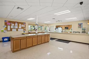 1026 Capella Dr, Tavares, FL 32778 - Photo 64