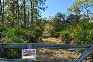 40001 Maggie Jones Rd, Paisley, FL 32767 - Photo 46