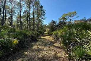 40001 Maggie Jones Rd, Paisley, FL 32767 - Photo 48