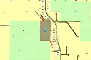 40001 Maggie Jones Rd, Paisley, FL 32767 - Photo 16