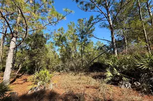 40001 Maggie Jones Rd, Paisley, FL 32767 - Photo 62