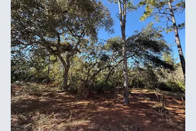 40001 Maggie Jones Road, Paisley, FL 32767 - Photo 64