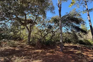 40001 Maggie Jones Rd, Paisley, FL 32767 - Photo 64