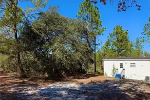 40001 Maggie Jones Rd, Paisley, FL 32767 - Photo 8