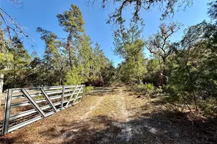 40001 Maggie Jones Rd, Paisley, FL 32767 - Photo 6