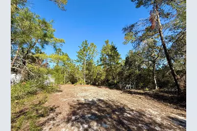 40001 Maggie Jones Road, Paisley, FL 32767 - Photo 54