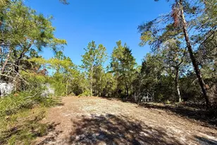 40001 Maggie Jones Rd, Paisley, FL 32767 - Photo 54