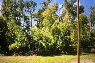 3808 NW 44th Terrace, Cape Coral, FL 33993 - Photo 1