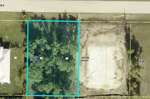 3808 NW 44th Terrace, Cape Coral, FL 33993 - Photo 2