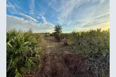 Se 165th Avenue, Weirsdale, FL 32195 - Photo 2