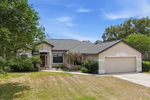 36341 Grand Island Oaks Cir, Grand Island, FL 32735 - Photo 46