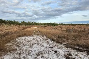 W Frostproof Rd, Frostproof, FL 33843 - Photo 1