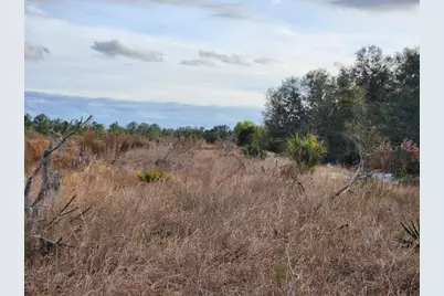 W Frostproof Road #Lot 13, Frostproof, FL 33843 - Photo 10