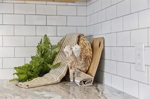 1613 Cherry Hill Rd, The Villages, FL 32159 - Photo 8